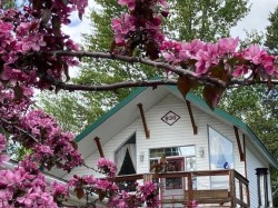 830 Beaven Crescent  Valemount, BC V0E 2Z0
