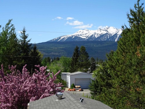830 Beaven Crescent, Valemount, BC 