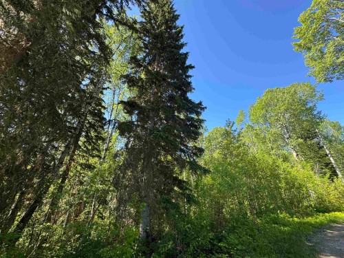 3177 Westlund Road W, Mcbride, BC 