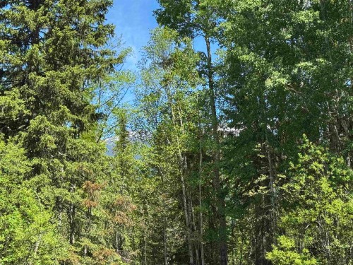 3177 Westlund Road W, Mcbride, BC 