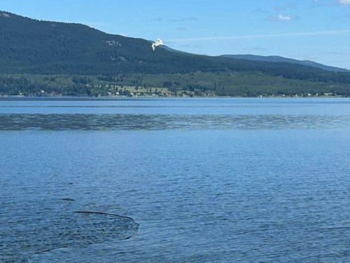 7658 Water Subdivision Loop, Vanderhoof, BC - Outdoor With Body Of Water With View