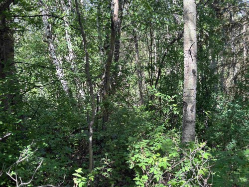 501 Silvermill Road, Vanderhoof, BC 