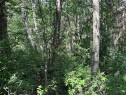 501 Silvermill Road, Vanderhoof, BC 