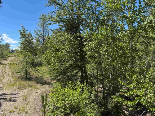 501 Silvermill Road, Vanderhoof, BC 