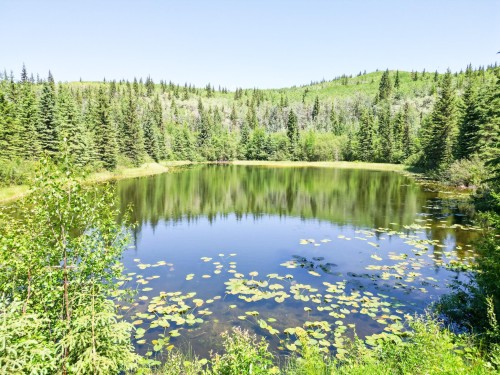 4100 16 Highway E, Burns Lake, BC 