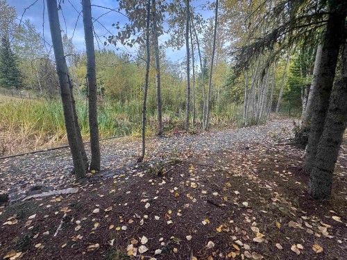 3168 Copeland Road, Quesnel, BC - Outdoor With View