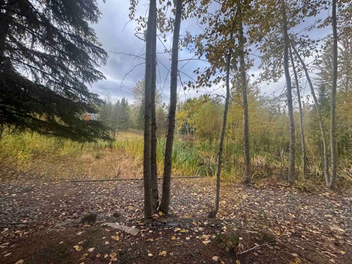 3168 Copeland Road, Quesnel, BC - Outdoor With View