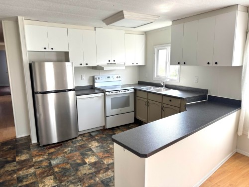 1155 4Th Avenue, Valemount, BC 