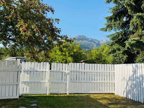 1155 4Th Avenue, Valemount, BC 