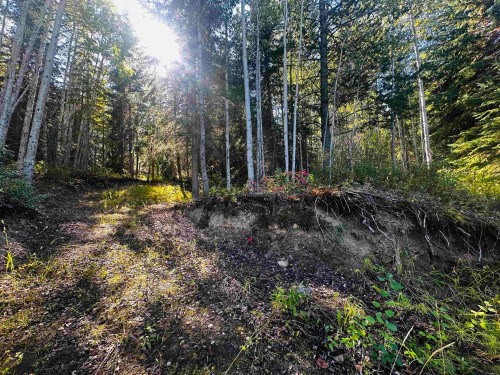 Lot-5 Mundhausen Road, Burns Lake, BC 