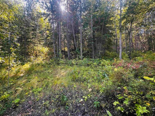 Lot-5 Mundhausen Road, Burns Lake, BC 