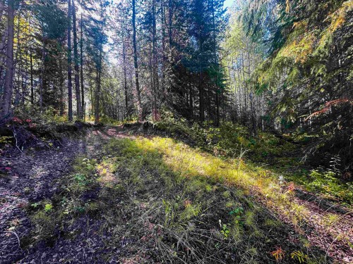 Lot-5 Mundhausen Road, Burns Lake, BC 