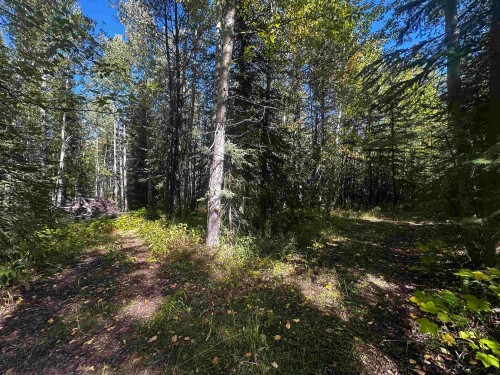 Lot-5 Mundhausen Road, Burns Lake, BC 