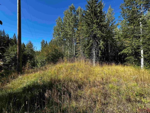Lot-5 Mundhausen Road, Burns Lake, BC 