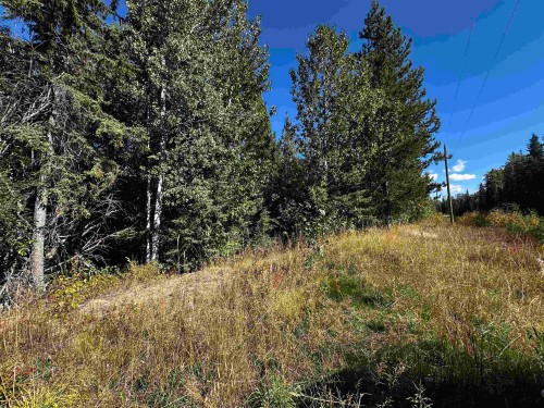 Lot-5 Mundhausen Road, Burns Lake, BC 