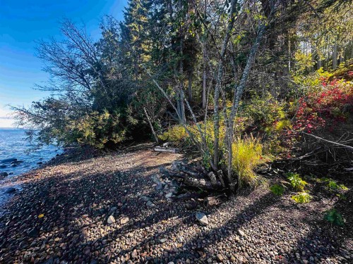 Lot-5 Mundhausen Road, Burns Lake, BC 