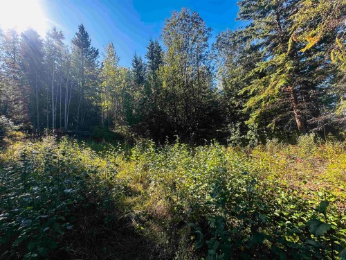 Lot-5 Mundhausen Road, Burns Lake, BC 