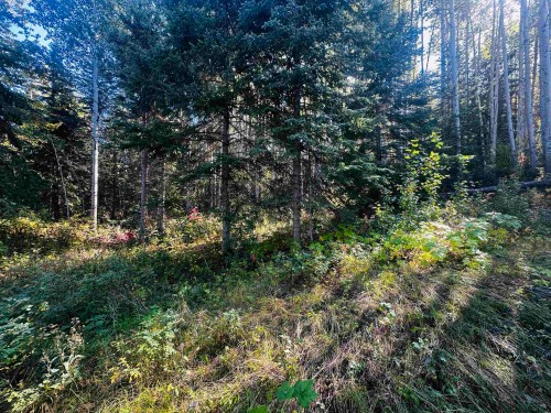 Lot-5 Mundhausen Road, Burns Lake, BC 