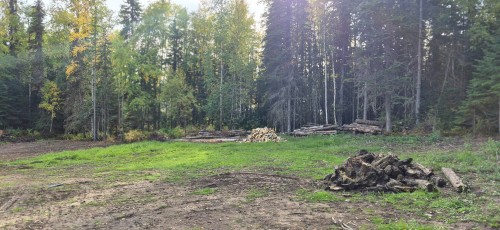 7795 Block Drive, Prince George, BC 