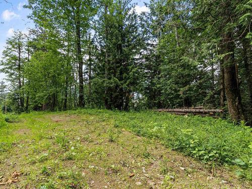 42700 Majuba Hill Road, Chilliwack, BC 