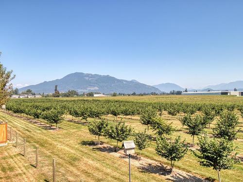 10254 Wedgewood Drive, Chilliwack, BC 