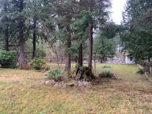 19552 Silver Skagit Road, Hope, BC 