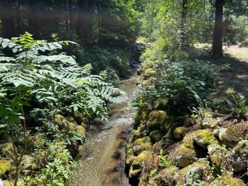 15-19743 Foster Road, Hope, BC 