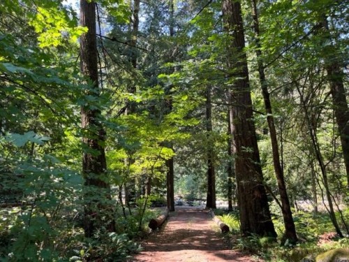 15-19743 Foster Road, Hope, BC 