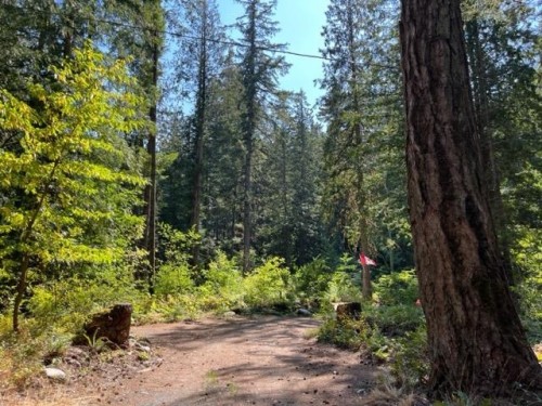 15-19743 Foster Road, Hope, BC 