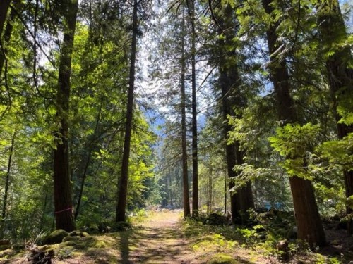 15-19743 Foster Road, Hope, BC 