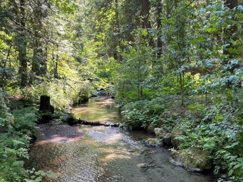 15-19743 Foster Road, Hope, BC 