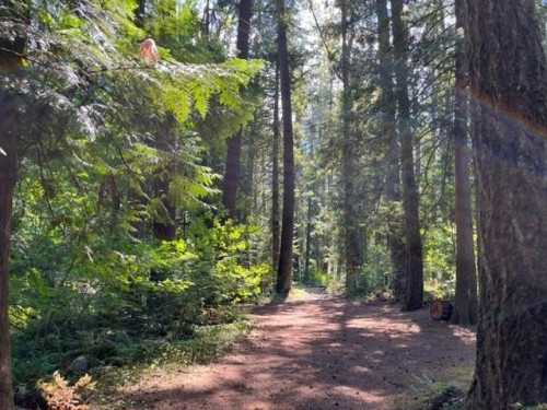 15-19743 Foster Road, Hope, BC 