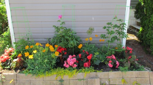 123-6338 Vedder Road, Chilliwack, BC 