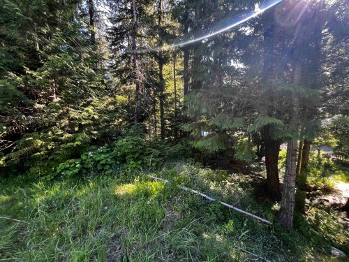 14902 Parkwood Street, Sunshine Valley, BC 