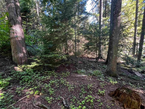 14902 Parkwood Street, Sunshine Valley, BC 