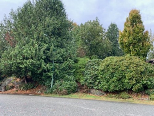 10035 Timberline Place, Chilliwack, BC 