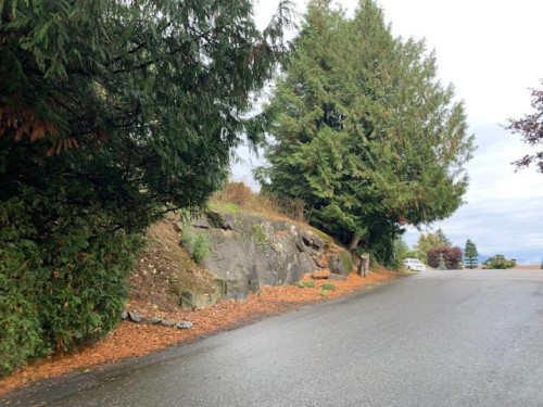 10035 Timberline Place, Chilliwack, BC 