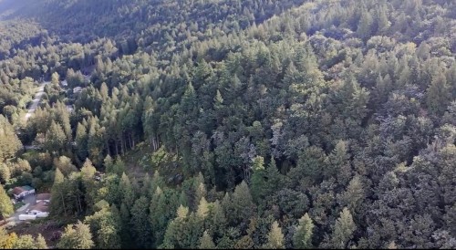 41768 Bowman Road, Yarrow, BC 