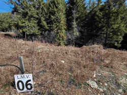 LMV6 Old Hope Princeton Highway  Sunshine Valley, BC V0X 1L5