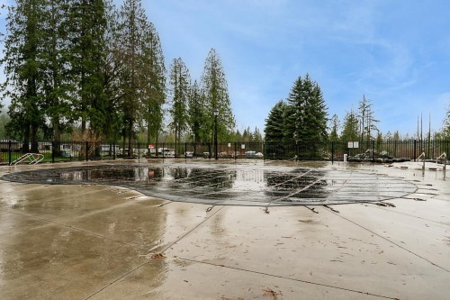 20-53480 Bridal Falls Road, Rosedale, BC 