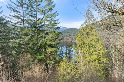 66176 Kawkawa Lake Road  Hope, BC V0X 1L1