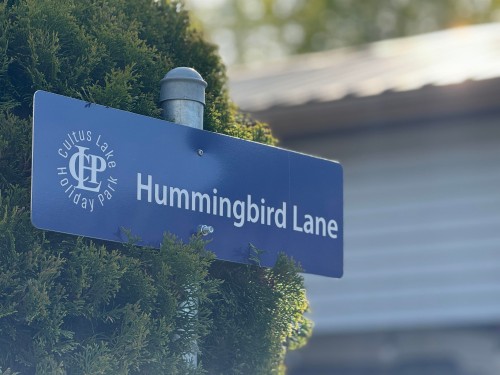 133-1436 Frost Road, Cultus Lake, BC 