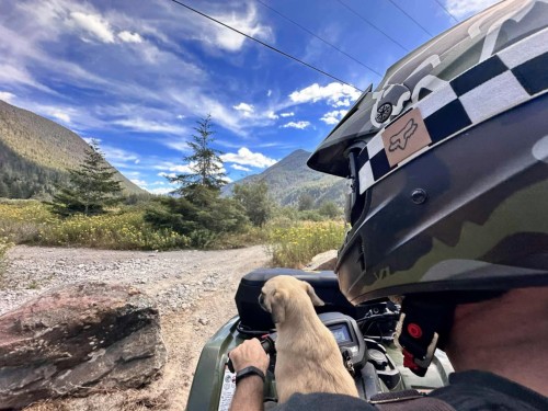 71692 Cone Court, Sunshine Valley, BC 