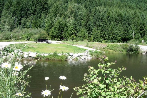 14902 Parkwood Street, Sunshine Valley, BC 