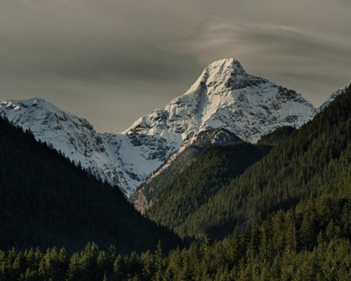 14902 Parkwood Street, Sunshine Valley, BC 