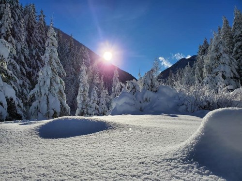 14902 Parkwood Street, Sunshine Valley, BC 