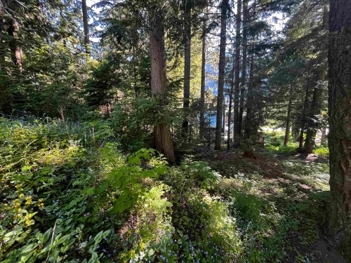 14902 Parkwood Street, Sunshine Valley, BC 