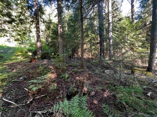 14902 Parkwood Street, Sunshine Valley, BC 