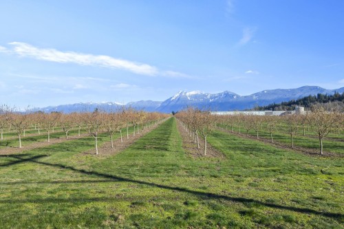46464 Brice Road, Chilliwack, BC 