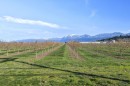 46464 Brice Road, Chilliwack, BC 